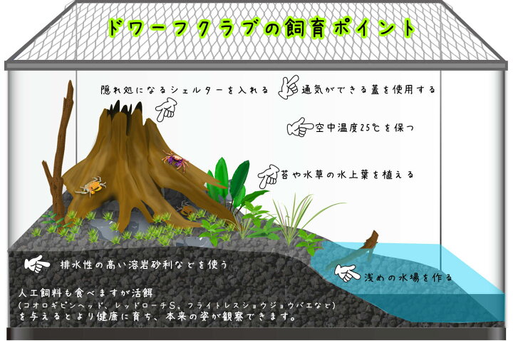 ファンクラブまである！？ SNSで話題のイケメン飼育員、動物と触れ合う姿にキュン：どうぶつピース | テレビ東京・ＢＳテレ東の読んで見て感じるメディア