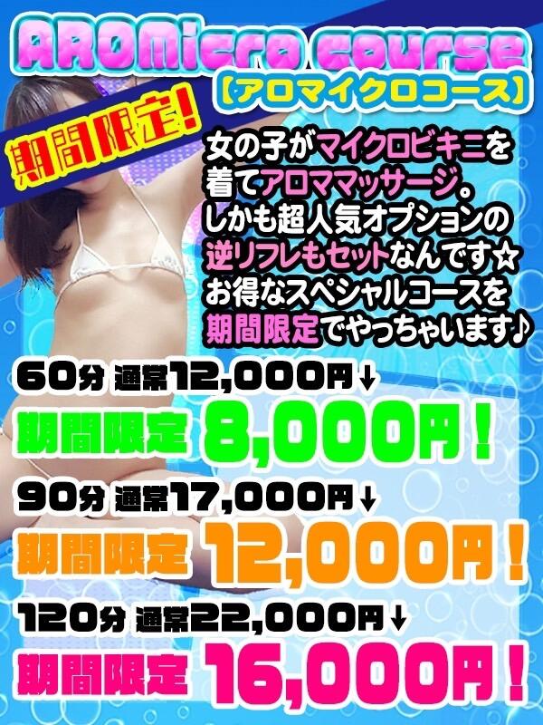 超Sexy！メタリック光沢 マイクロビキニ上下セット 全5色│セクシー水着 露出度MAX