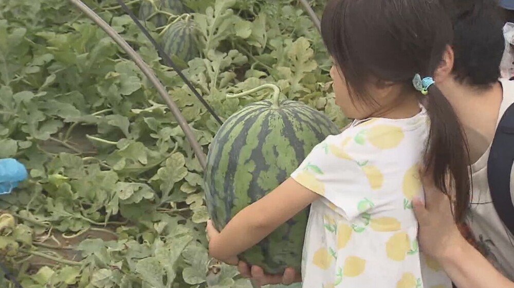 漁師料理 かなや - （千葉県）の詳細情報 ｜