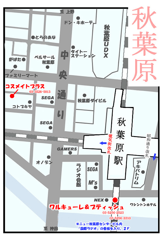 秋葉原駅電気街口すぐの「セガ秋葉原4号館」壁面に巨大デジタルサイネージ - おまけ的オタク街