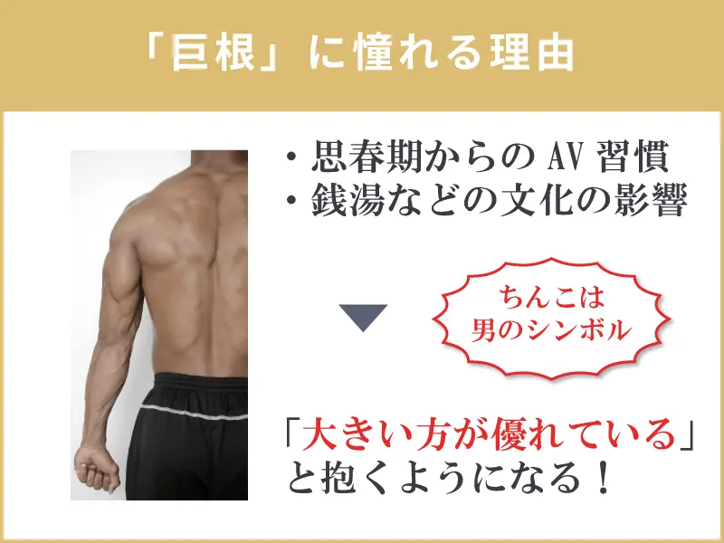 トイレットペーパーを使ったペニスの大きさと太さの測り方を紹介！｜風じゃマガジン