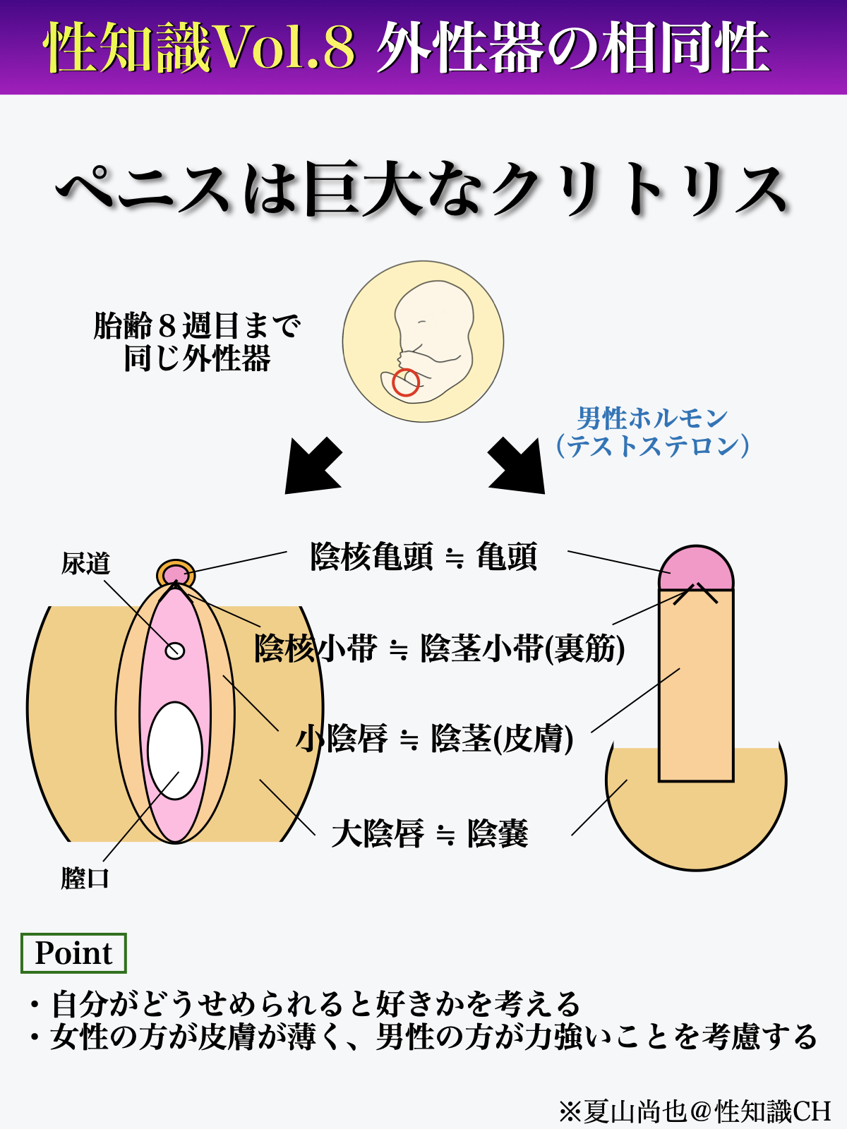 クリトリスの場所はどこ？構造・役割と快感を感じるためのいじり方 | Ray(レイ)