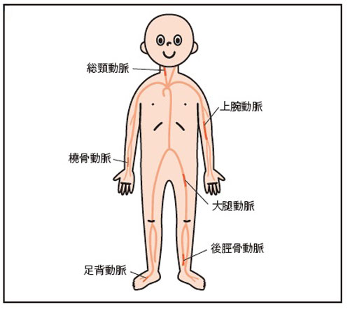 公式】当科で行なう疾病について｜湘南鎌倉総合病院