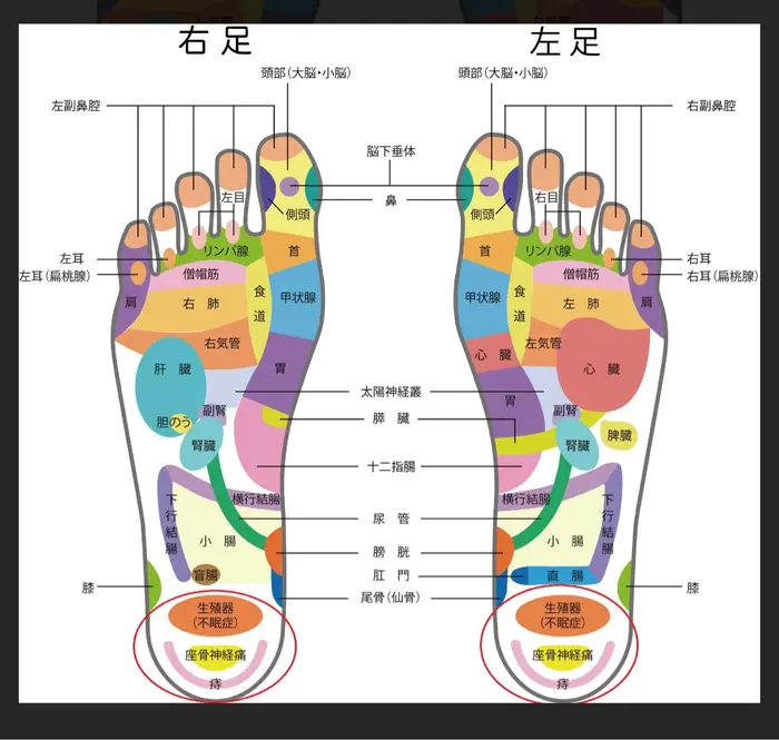 足つぼの効果を部位別に解説！セルフでできるマッサージのコツは？｜ホットペッパービューティーマガジン
