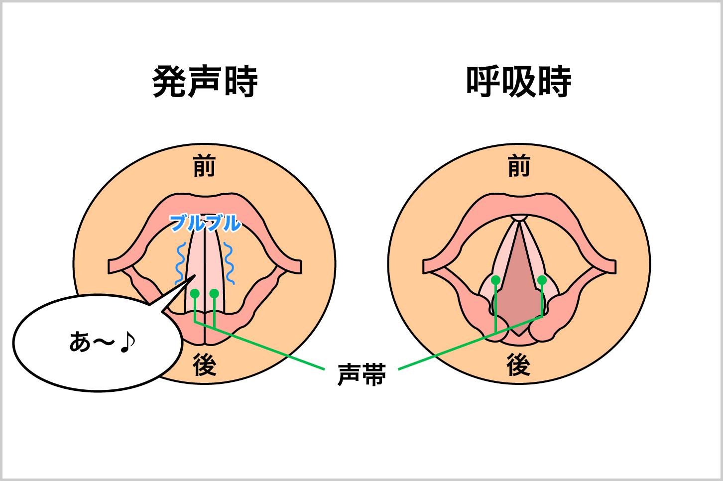 声が出る仕組み | アクロミュージックスクール