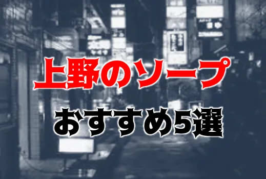 上野ソープ】営業はニュー桃山のみ？東京都上野駅のソープランド店の特徴と評判