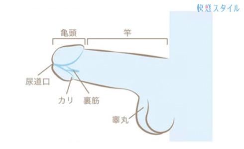 彼氏が喜ぶちんこの触り方・いじり方12選｜現役風俗嬢が