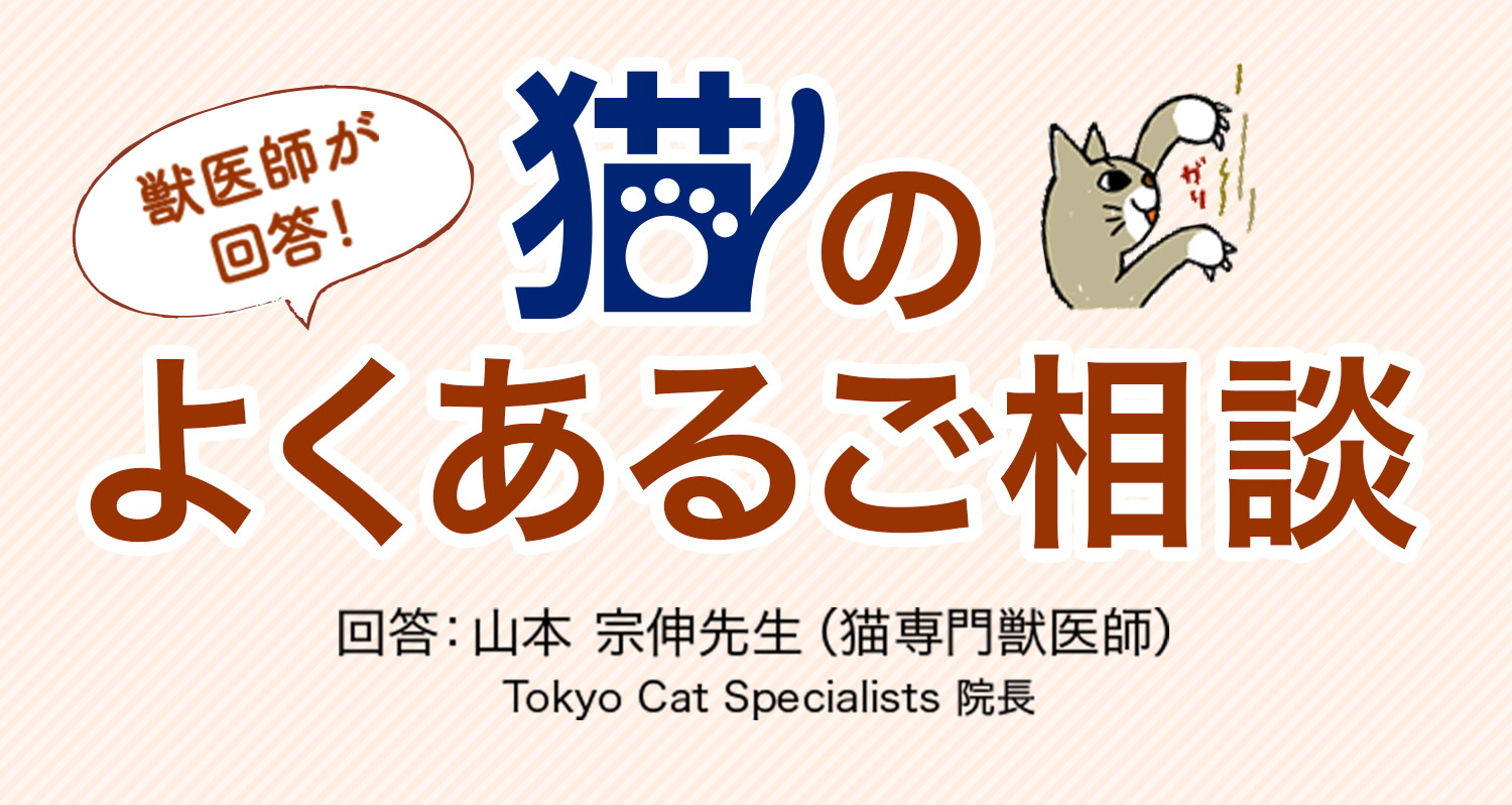 楽天ブックス: ならんでおしっこしたいなぁ - 港未来