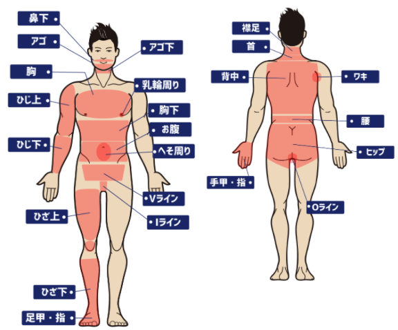 メンズ(男性)の医療脱毛・医療レーザー脱毛｜男性美容・美容整形外科なら湘南美容クリニック【公式】