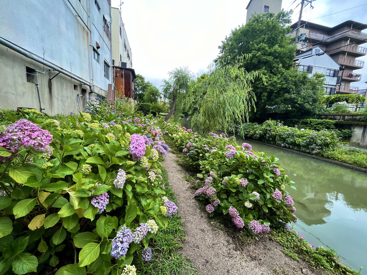 ２０２３年６月 梅雨時の京都って本当に人が少ないの？ - じゃらん旅行記