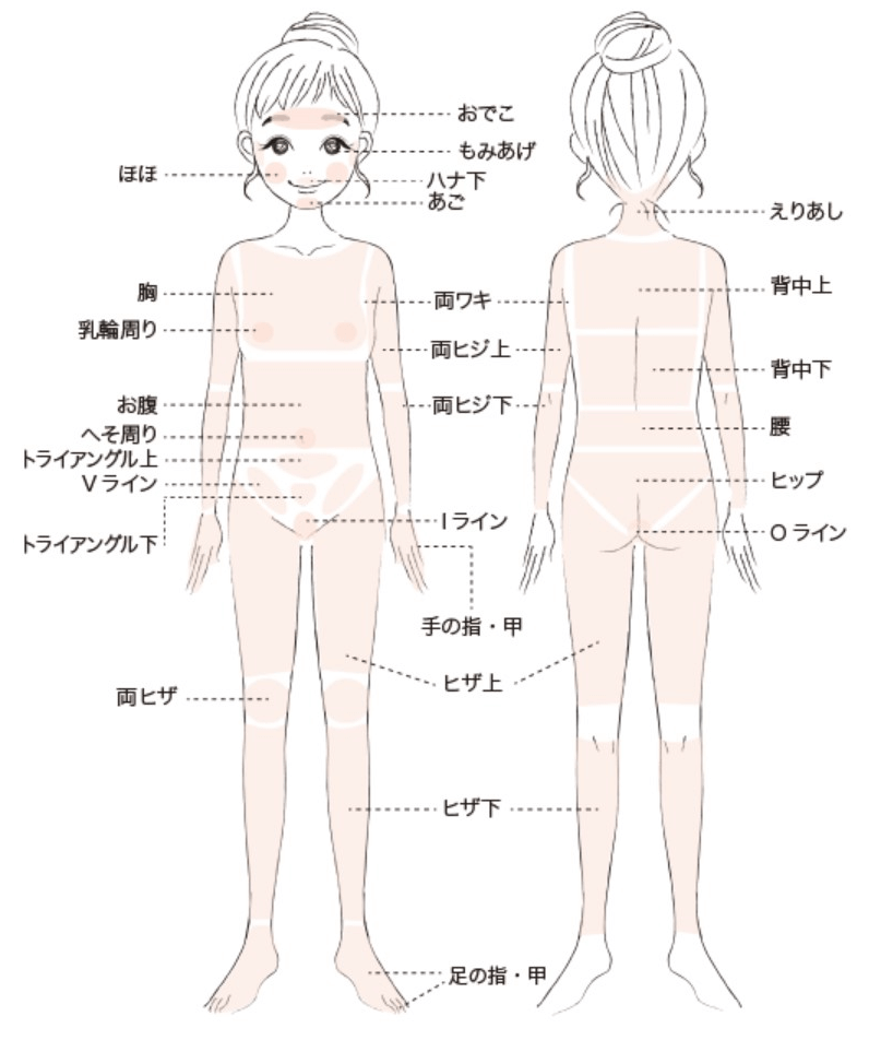 CLEAR/SP-ef（株式会社NBS）の口コミ・効果・導入サロン・価格｜業務用脱毛機器アカデミー