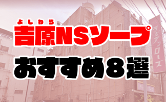 埼玉県】西川口でNS/NNできるソープランドまとめ！【全18店舗】 | enjoy-night[エンジョイナイト]