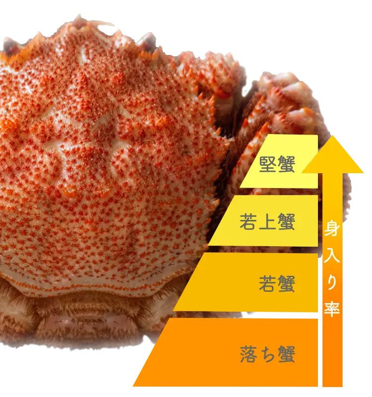 おごと温泉 びわ湖花街道での贅沢なひととき