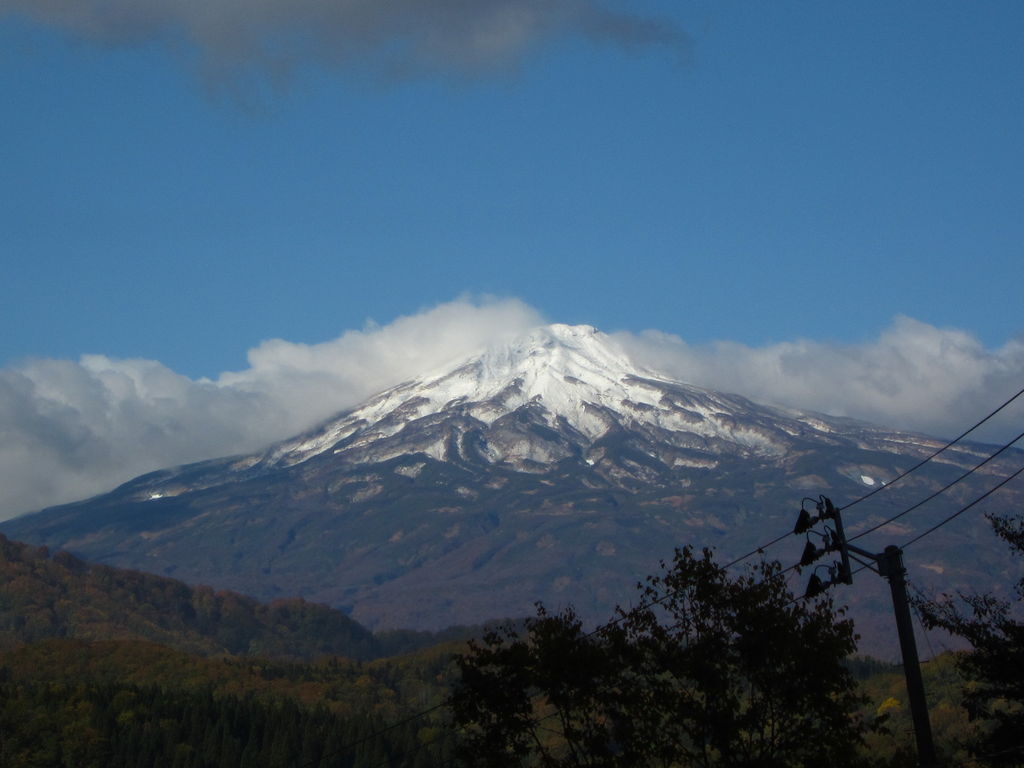 登山者出迎える葉山の花々 村山、愛好家30人が登頂楽しむ｜山形新聞