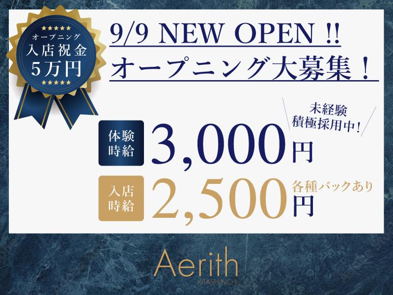 北新地 ラウンジ・ホステスの求人一覧【やっぱ好きやねん。北新地】