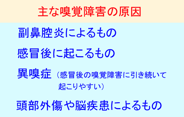 心理・行動に影響を与えるにおいと受容体の仕組み