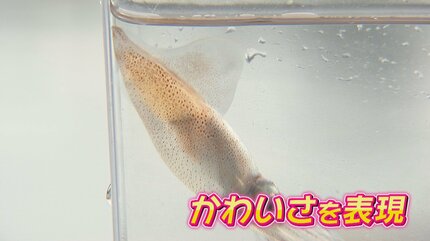 体験レポ】すすきのヘルス