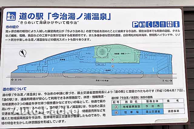 フラダンス衣装 フラダンスパンツ アンダーパンツ 無地