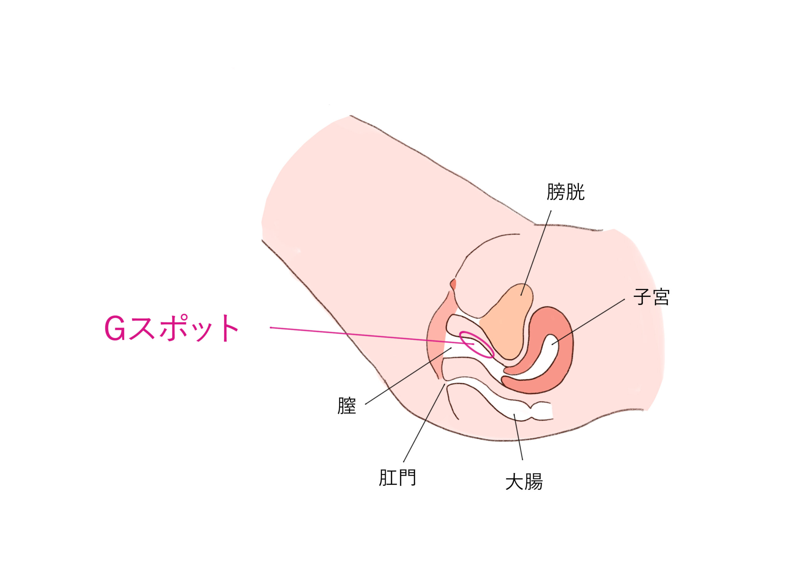 整形外科の病気｜まんのう整形外科｜松阪市 整形外科 リハビリテーション科