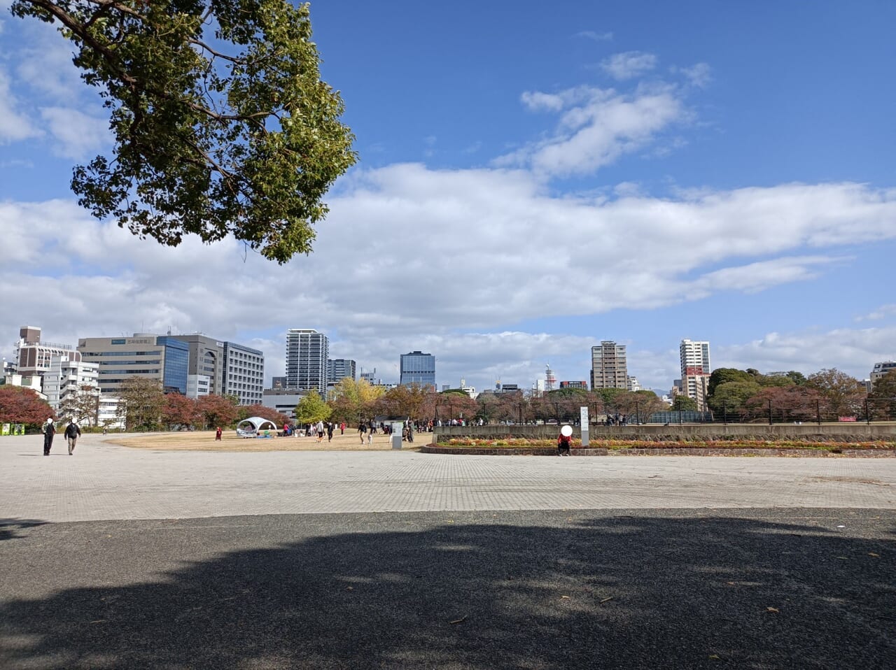 福岡市】青空の下、福岡県及び九州で最大規模の市民参加のモルック大会「第1回モルックはかたビギナーズカップ」が11/19に開催されました！ |  号外NET