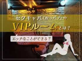 おっパブ人気店ナビ | 全国のセクキャバ（おっパブ）・いちゃキャバおすすめ店サイト |