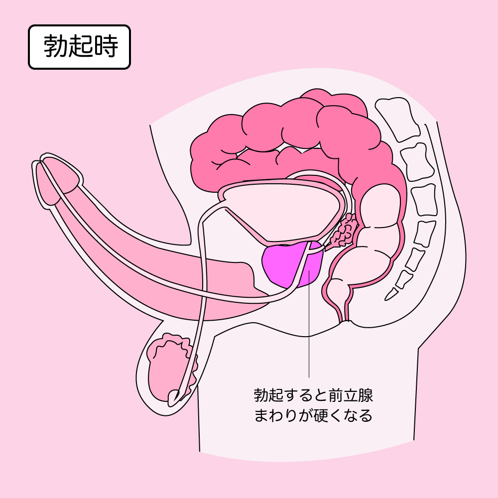 アナルの上手なほぐし方】AFの前に重要な肛門マッサージ | 【きもイク】気持ちよくイクカラダ