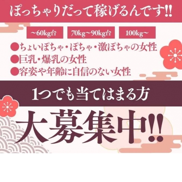 岐阜の風俗出稼ぎ求人一覧|デリヘルやソープランドの高収入アルバイト情報|出稼ぎ女子