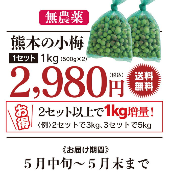 熊本産 熊本の小梅 500g(260-280玉前後) 送料別