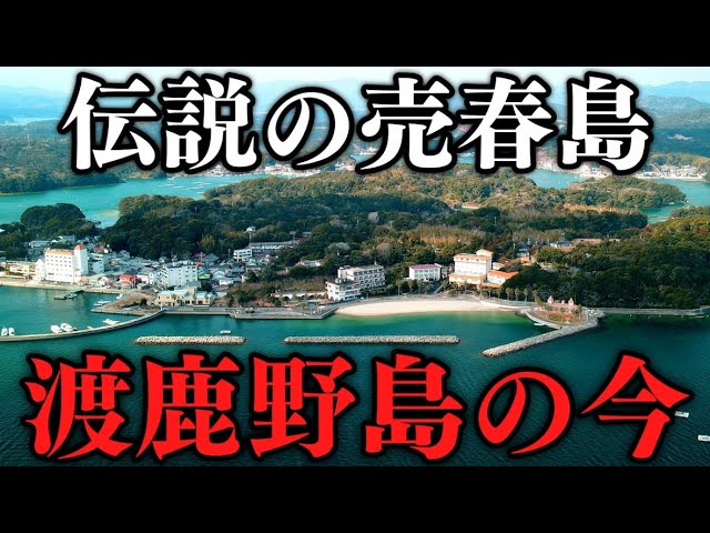 現代の桃源郷!? 渡鹿野島という日本唯一の風俗島に行った話 【前編】│Squeeeze