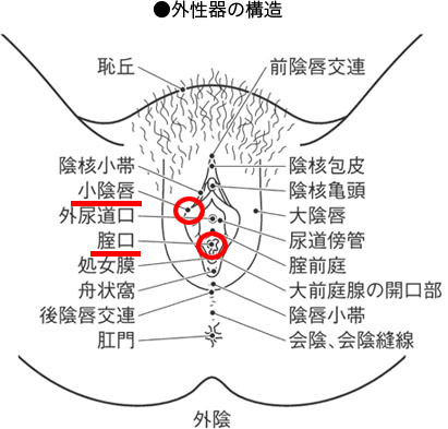 伊勢 on X: