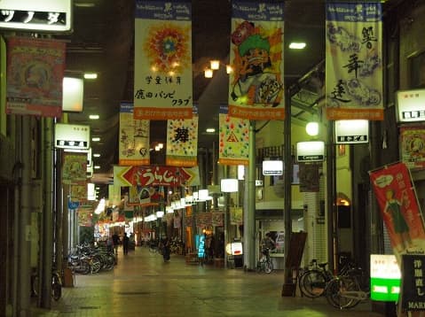 蒜山のひまわり畑で夏を楽しもう