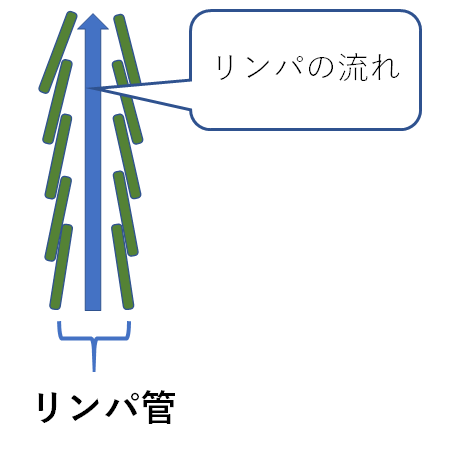 アロマリンパ＆ヘッドスパ もあまる 船橋店 | 元気ちば！健康チャレンジ「ち～バリュ～」