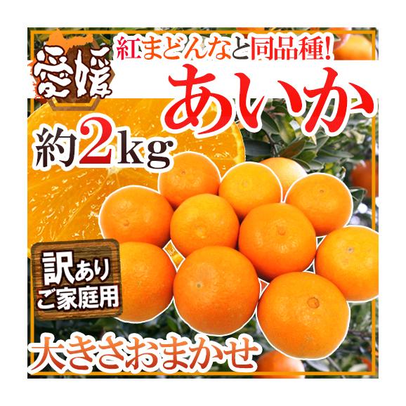 東京秘密基地体験レポートまとめ｜女性用風俗・女性向け風俗なら【東京秘密基地本店】