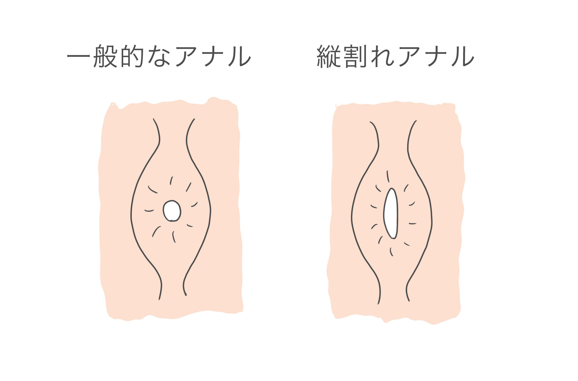 名探偵コナン検証】お団子ヘアの中に凶器隠してみたら…衝撃。#名探偵コナン #漫画 #再現 #実写化