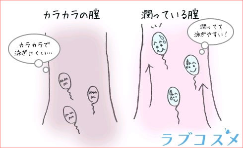 我慢汁でフェラがしょっぱい理由とは！？だからこんな味がするのか