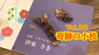 イヤーエステサロン【イヤーサプリ】プロによる耳そうじ屋 大阪堺東/日本橋/阿倍野/奈良/兵庫/新潟/なかもず/梅田/京都