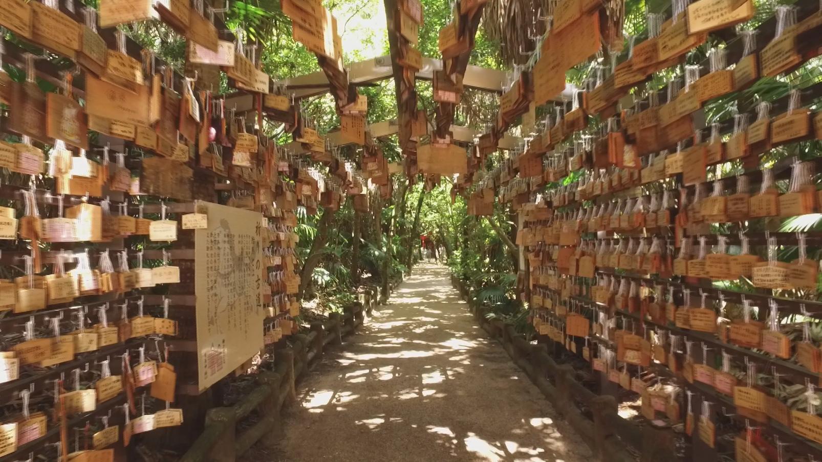 青島神社 | スポット・体験