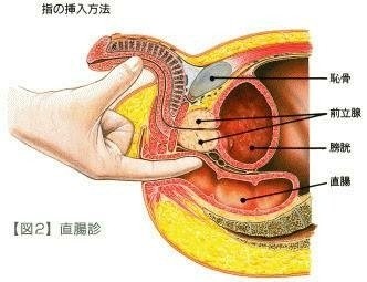 前立腺マッサージのやり方や手コキ風俗店での楽しみ方！｜手コキ風俗情報 手こきが一番/前立腺開発マニュアル -  アダルト本通販｜大人のおもちゃ通販大魔王/パシ楽天Beast