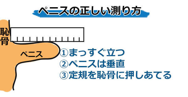 小学生高学年の平均身長・平均体重・生活・夢ほかデータ集［小5・小6］｜みんなの教育技術