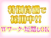 藤沢セクキャバ 風月 -ふうげつ- 藤沢のお座敷セクシーキャバクラ｜ギャラリー