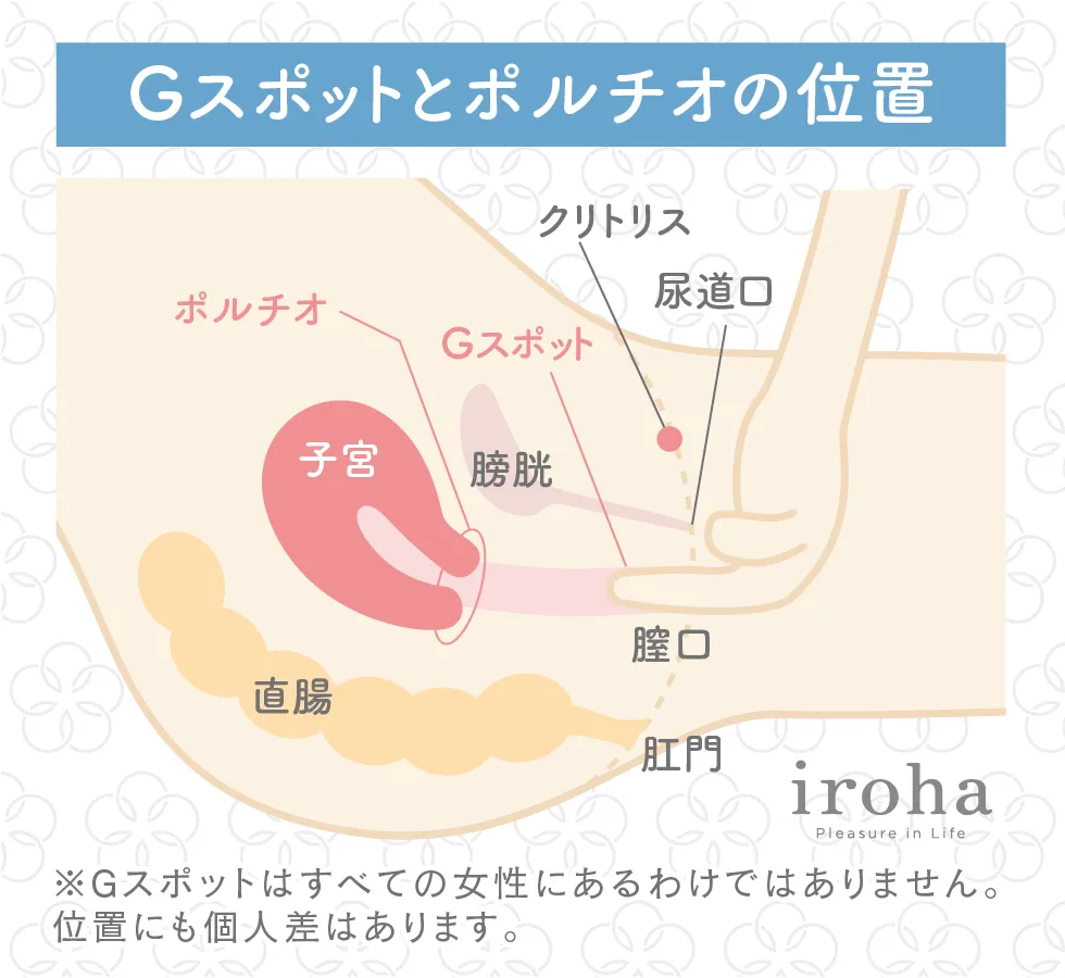 膣の位置は年齢で変わる！？上付き、下付きについて婦人科医に聞きました。 | ランドリーボックス