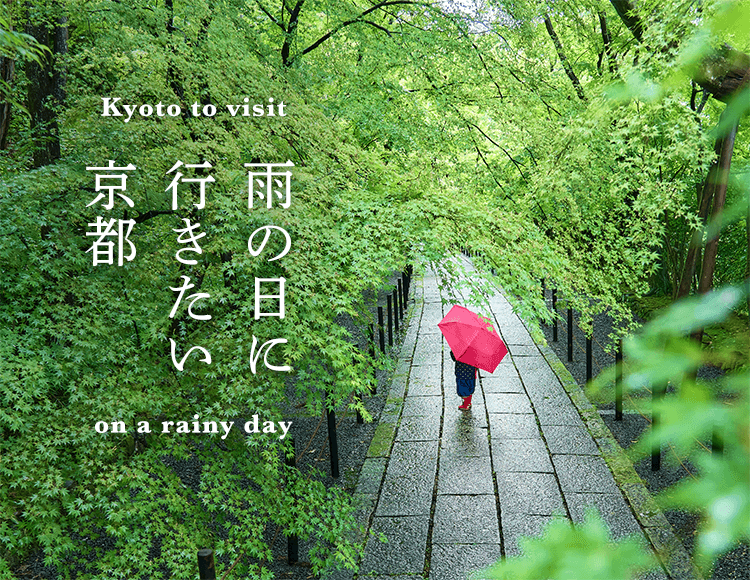 前乗り朝活】梅雨と夏の狭間の京都・観光スポット その①【南禅寺と詩仙堂】｜よしきち