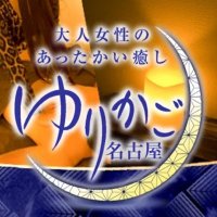 グレー 明 バウンサー 【名古屋受け渡し限定】リッチェル