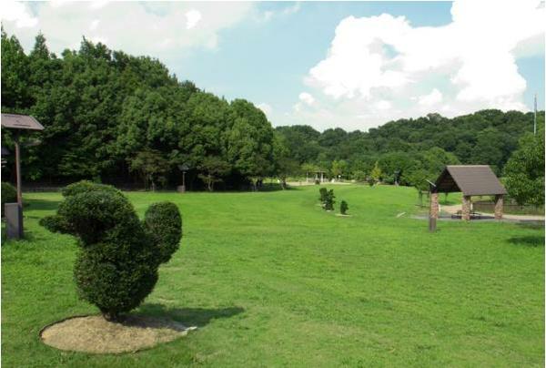 アスレチックや遊具がある三重県の公園15選！ | 特集 | 観光三重(かんこうみえ)