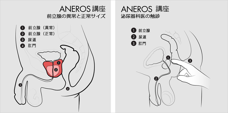 コラム】アナル開発の世界・基礎編 痛くない？汚くない？ -