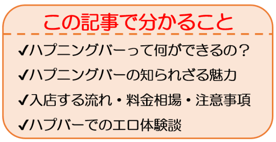 ハプニングバー（ハプバー）柏・松戸でエロプレイ - ハプニングバー アグリーアブル