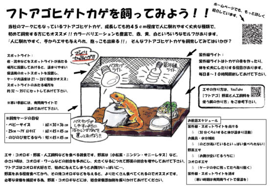 6月15日（土曜日）いなぶまゆっこクラブ蚕の飼育自由参観日の開催のお知らせ | 一般財団法人古橋会