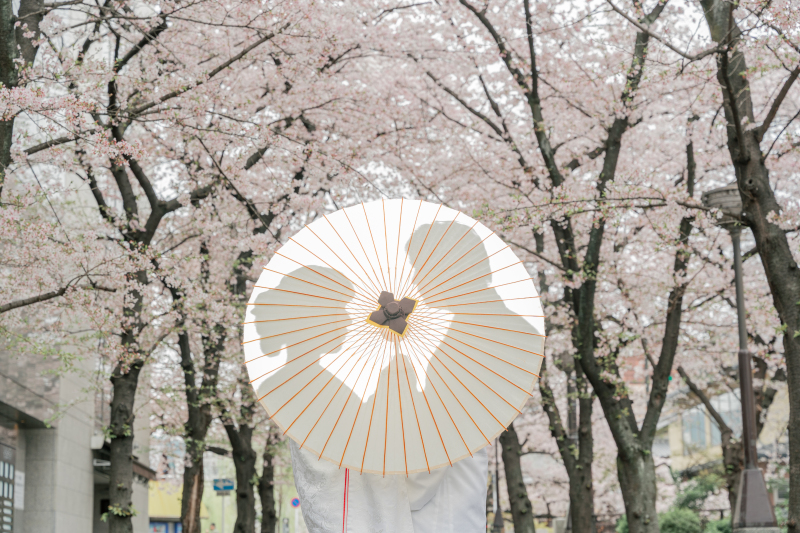 誰もが参加に躊躇する！はなしま専科の口コミからみるガチの評判 | 街コン戦略室