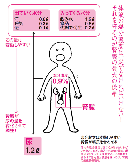 海水はしょっぱいのに、なぜ海の魚を食べてもしょっぱくないのかを調べてみた！【ものしりっス】