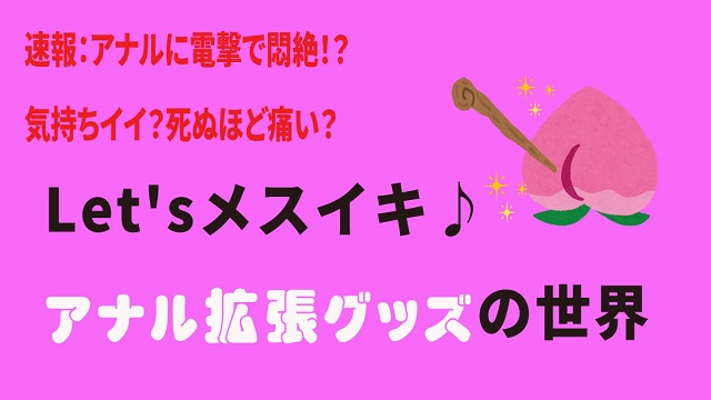 アナニストが解説】アナルプラグの正しい使い方！拡張アナニーがやばいほど気持ちいい！ | happy-travel[ハッピートラベル]